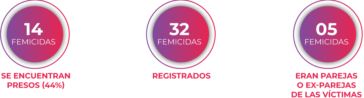 Abril del 2020: El Femicidio sigue siendo la Pandemia Ignorada