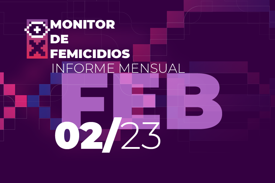Febrero de 2023: Son 17 femicidios en Venezuela para un total de 30 casos en dos meses